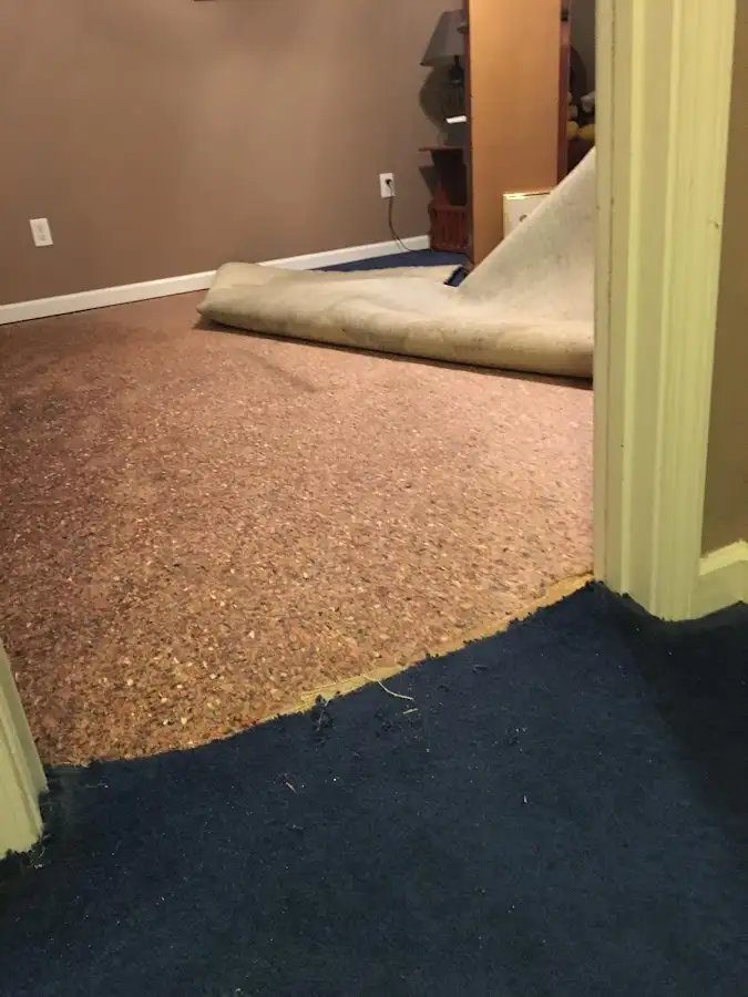 Carpet pad removal revealing water damage during Water Mitigation Services in Kittery